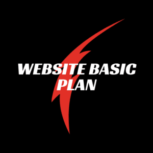 Website Basic Plan